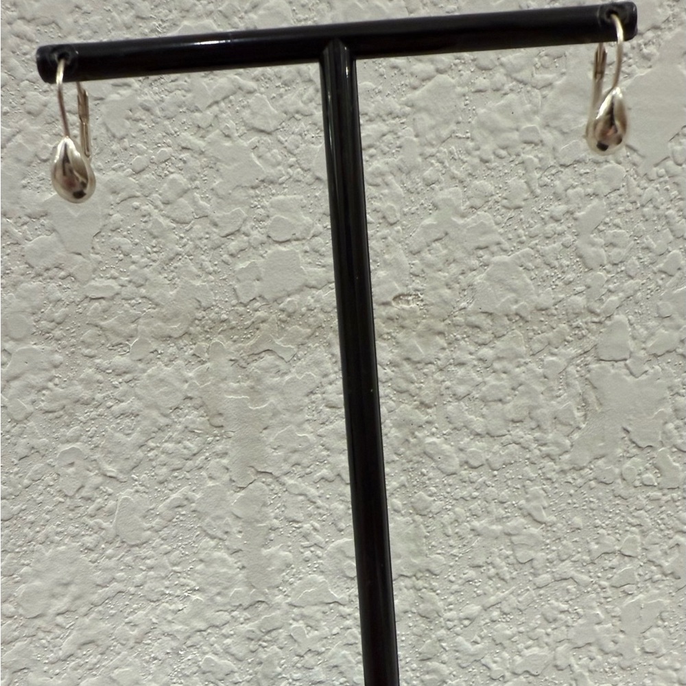 Elegant Silver Drop Earrings